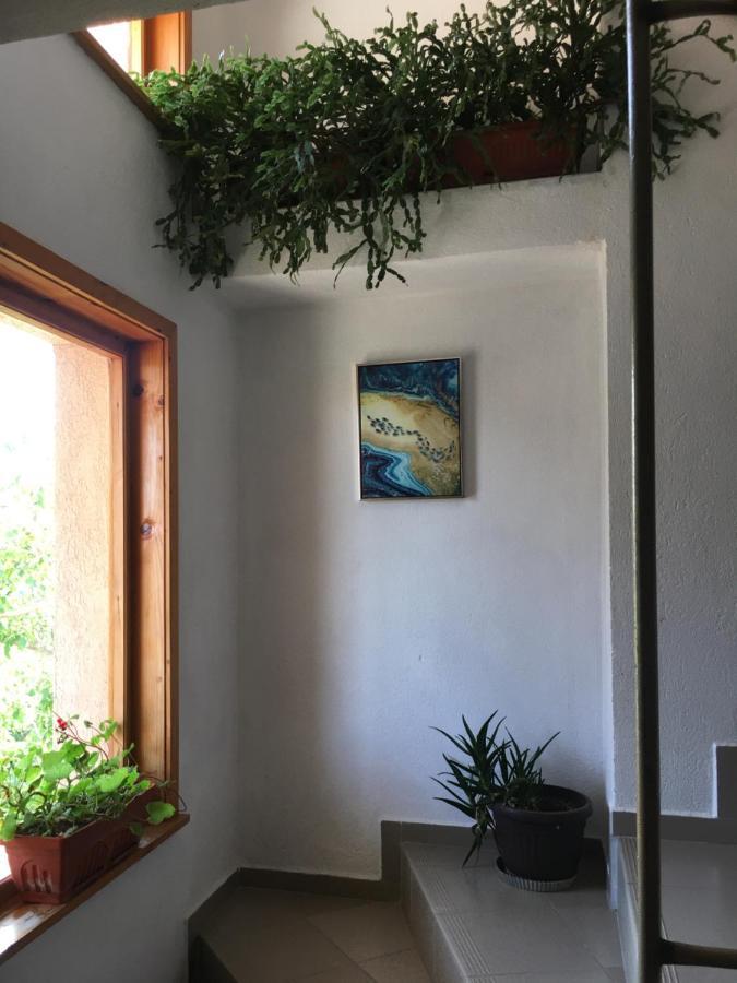 Chervenkov Guest House تشيرنوموريتس المظهر الخارجي الصورة