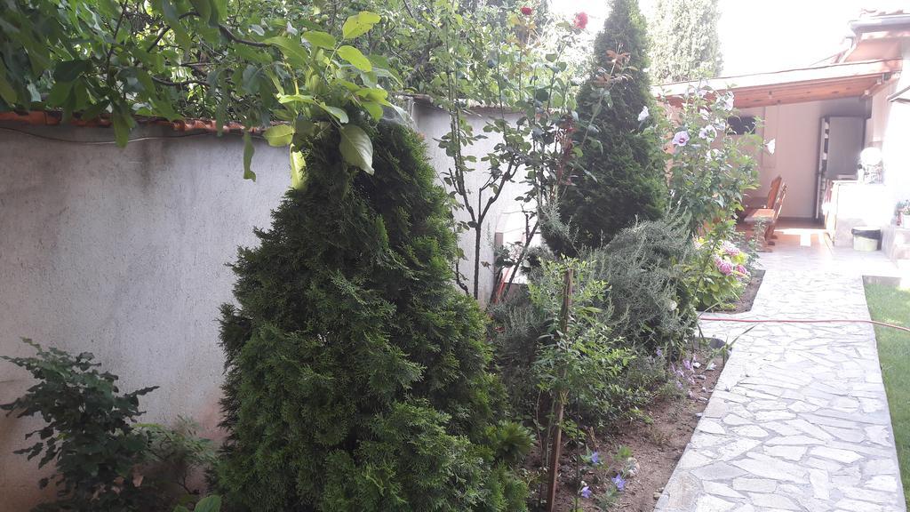 Chervenkov Guest House تشيرنوموريتس المظهر الخارجي الصورة